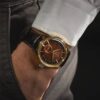 Presage Suit Mechanical Marrone
